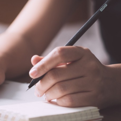 Bleistift (144 Stück)