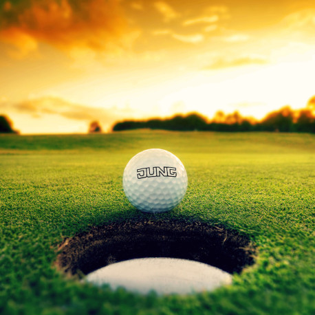 Golfball "Titleist Tour Soft" (12 Stück)